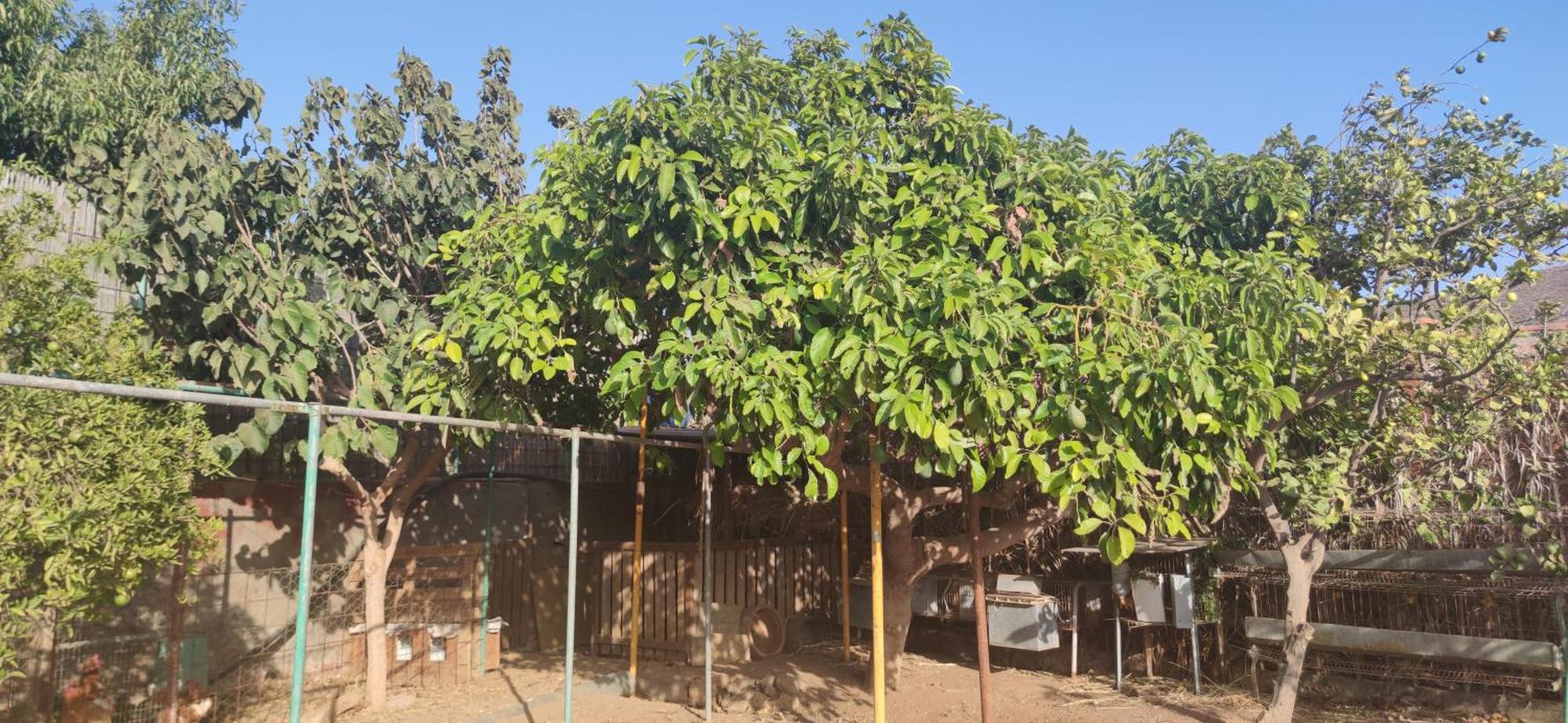 Agüimes Casita Leos 아파트 외부 사진